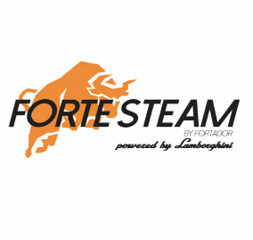 ForteSteam Logo